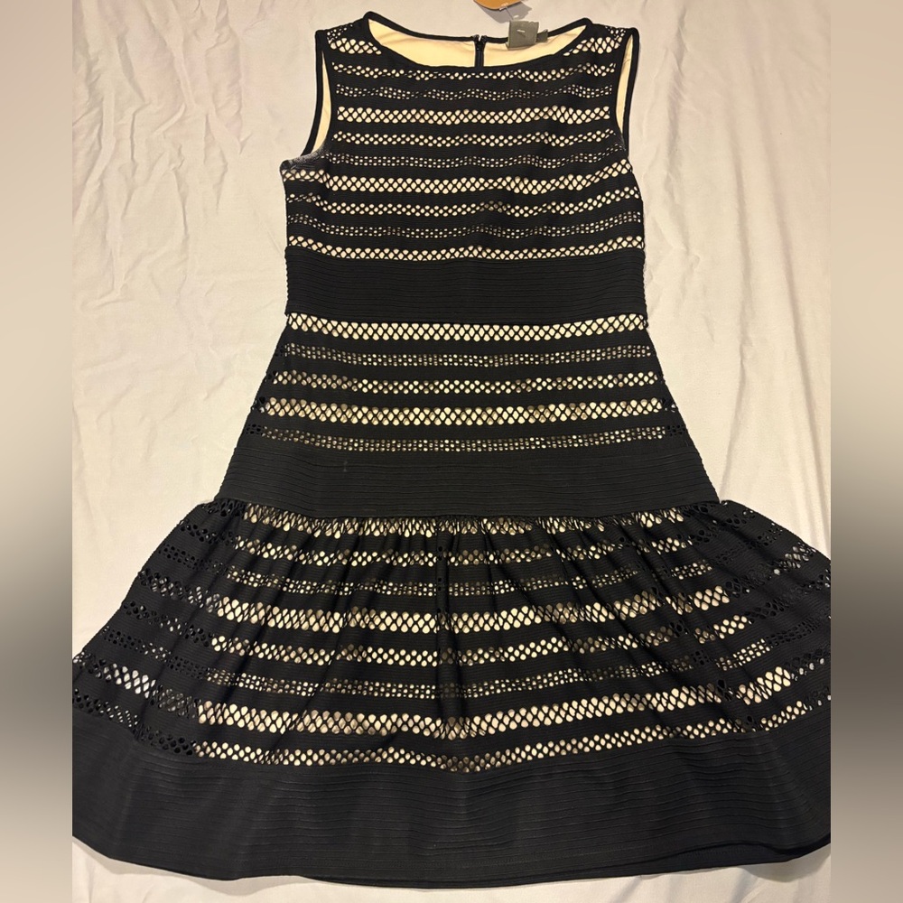 Taylor Black and Cream A-Line Cocktail Dress